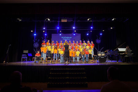 Srečanje otroških in mladinskih pevskih zborov, Naše pesmi naj donijo (24)